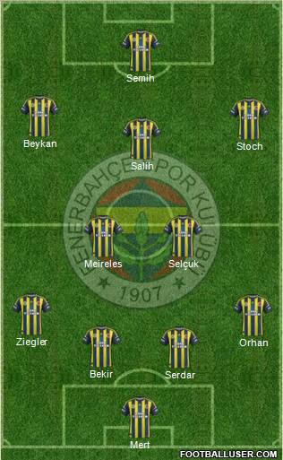 Fenerbahçe SK Formation 2013