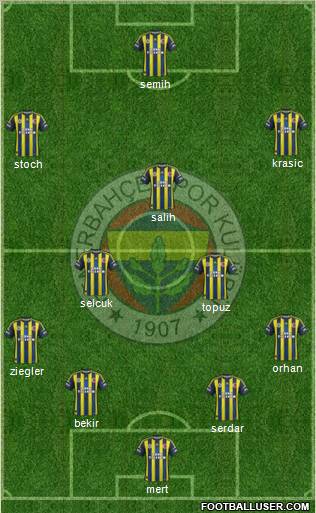 Fenerbahçe SK Formation 2013