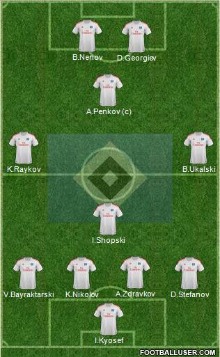 Hamburger SV Formation 2013