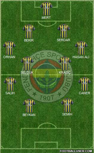 Fenerbahçe SK Formation 2013