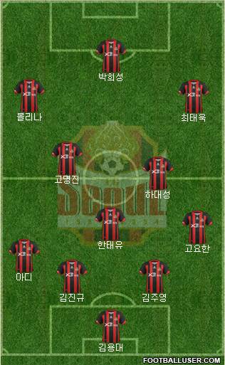FC Seoul Formation 2013