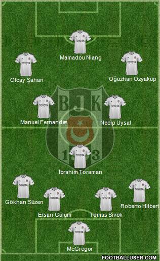 Besiktas JK Formation 2013