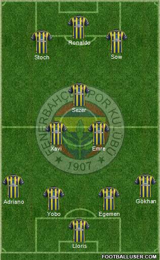 Fenerbahçe SK Formation 2013