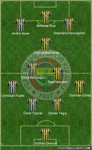 Fenerbahçe SK Formation 2013