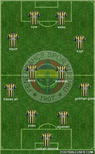 Fenerbahçe SK Formation 2013