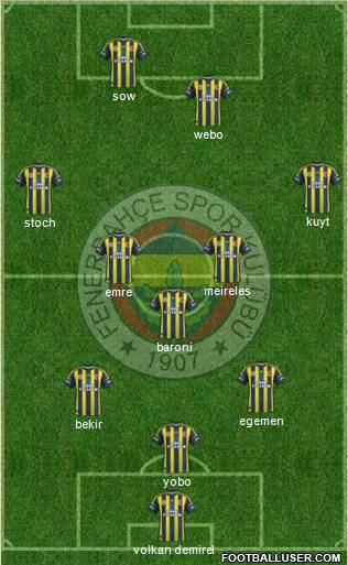 Fenerbahçe SK Formation 2013
