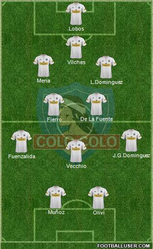 CSD Colo Colo Formation 2013