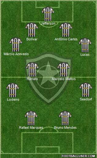 Botafogo FR Formation 2013