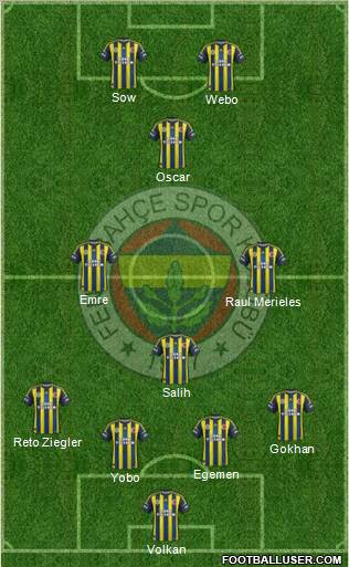 Fenerbahçe SK Formation 2013