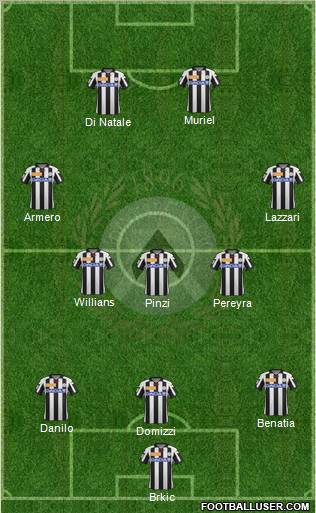 Udinese Formation 2013