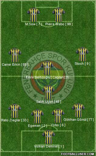 Fenerbahçe SK Formation 2013