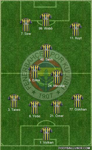 Fenerbahçe SK Formation 2013