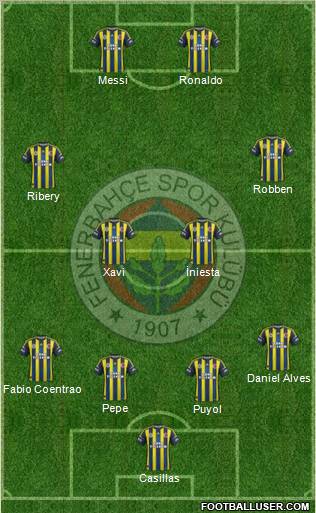 Fenerbahçe SK Formation 2013