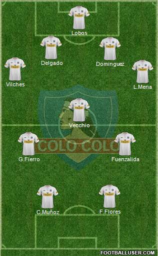 CSD Colo Colo Formation 2013