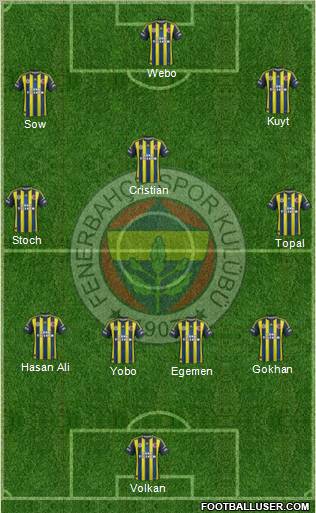 Fenerbahçe SK Formation 2013