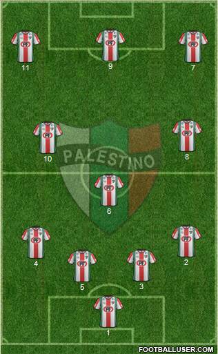 CD Palestino S.A.D.P. Formation 2013