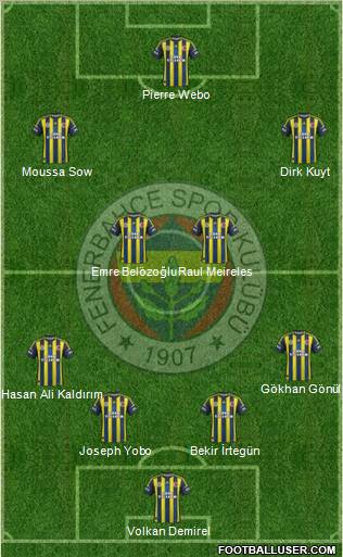 Fenerbahçe SK Formation 2013