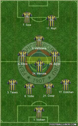 Fenerbahçe SK Formation 2013