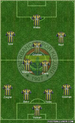 Fenerbahçe SK Formation 2013