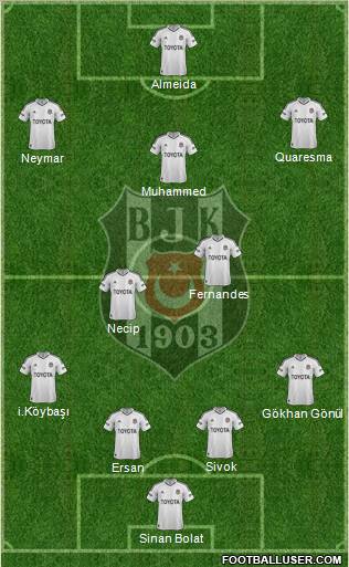 Besiktas JK Formation 2013