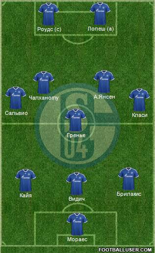 FC Schalke 04 Formation 2013