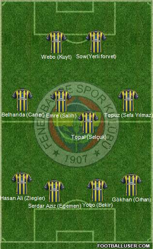 Fenerbahçe SK Formation 2013