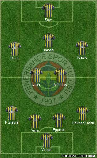 Fenerbahçe SK Formation 2013