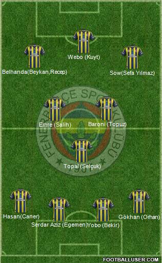 Fenerbahçe SK Formation 2013
