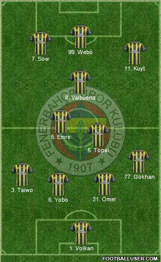 Fenerbahçe SK Formation 2013