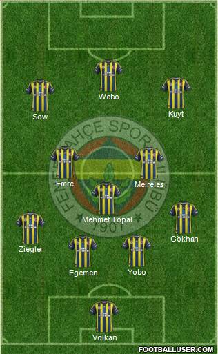 Fenerbahçe SK Formation 2013