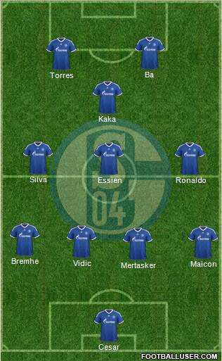 FC Schalke 04 Formation 2013
