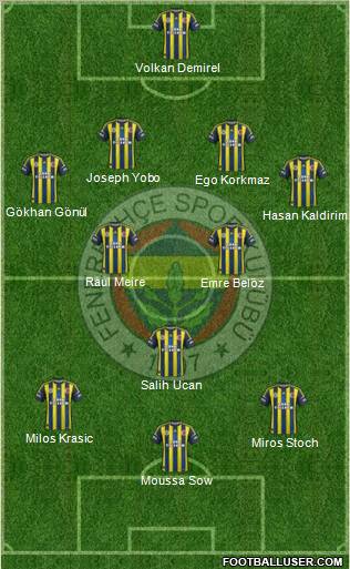 Fenerbahçe SK Formation 2013