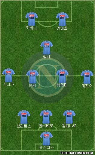 Napoli Formation 2013