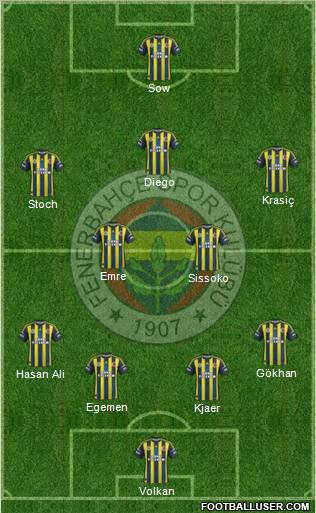 Fenerbahçe SK Formation 2013
