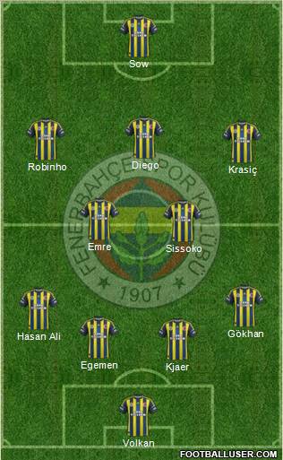 Fenerbahçe SK Formation 2013