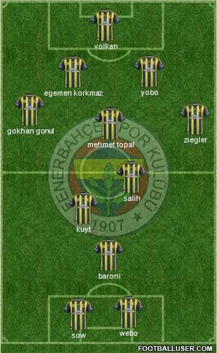 Fenerbahçe SK Formation 2013