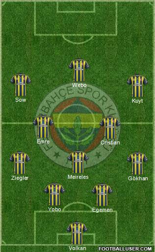 Fenerbahçe SK Formation 2013