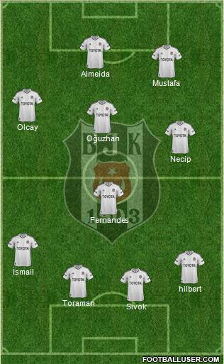 Besiktas JK Formation 2013