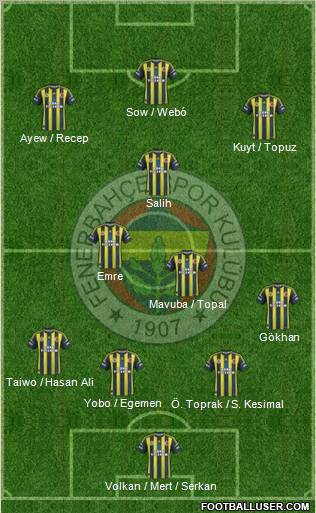 Fenerbahçe SK Formation 2013