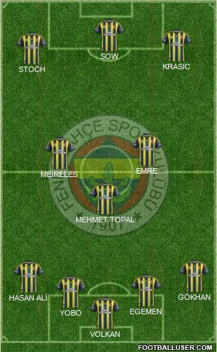 Fenerbahçe SK Formation 2013