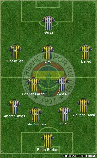 Fenerbahçe SK Formation 2013