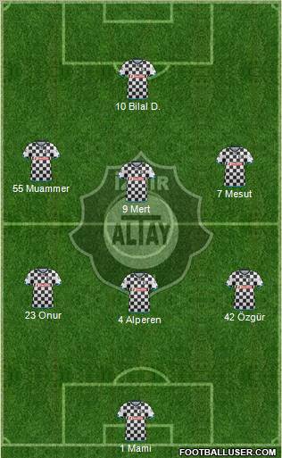 Altay Formation 2013