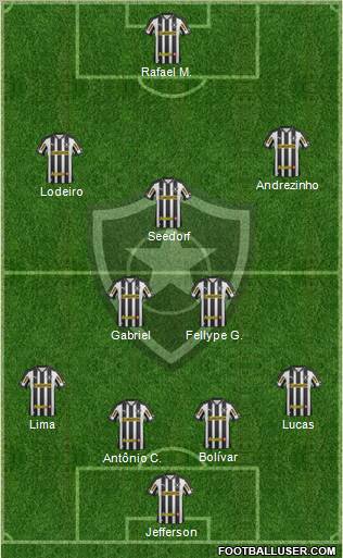 Botafogo FR Formation 2013