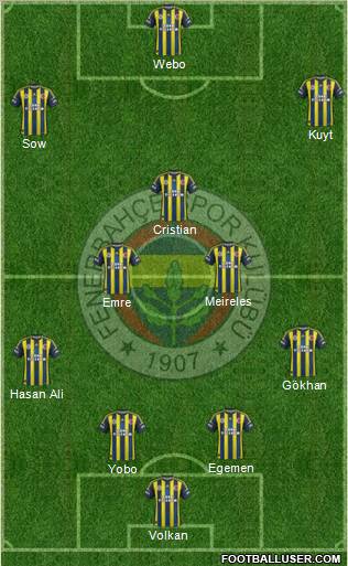 Fenerbahçe SK Formation 2013