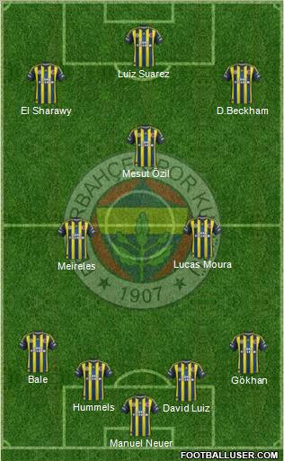 Fenerbahçe SK Formation 2013