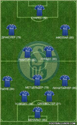 FC Schalke 04 Formation 2013