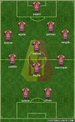 CC Deportes Tolima Formation 2013