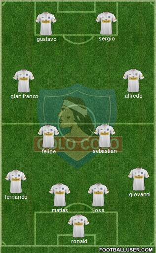 CSD Colo Colo Formation 2013