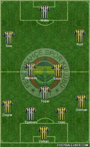 Fenerbahçe SK Formation 2013