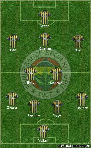 Fenerbahçe SK Formation 2013